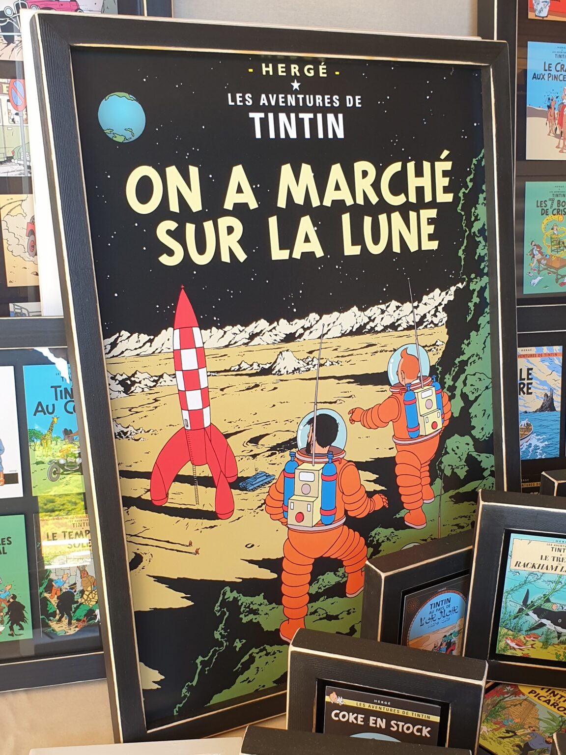 Tintin i Milu