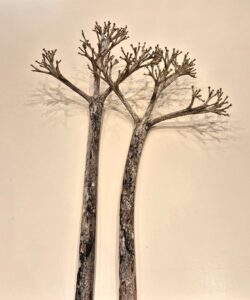 solucions decoratives