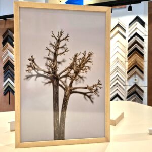 solucions decoratives